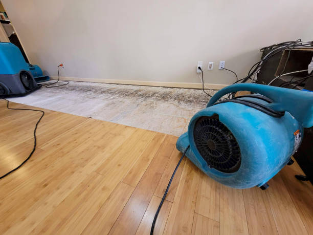 Professional Structural Drying technician working in Union Furnace, OH